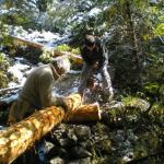 Manutenzione Sentieri